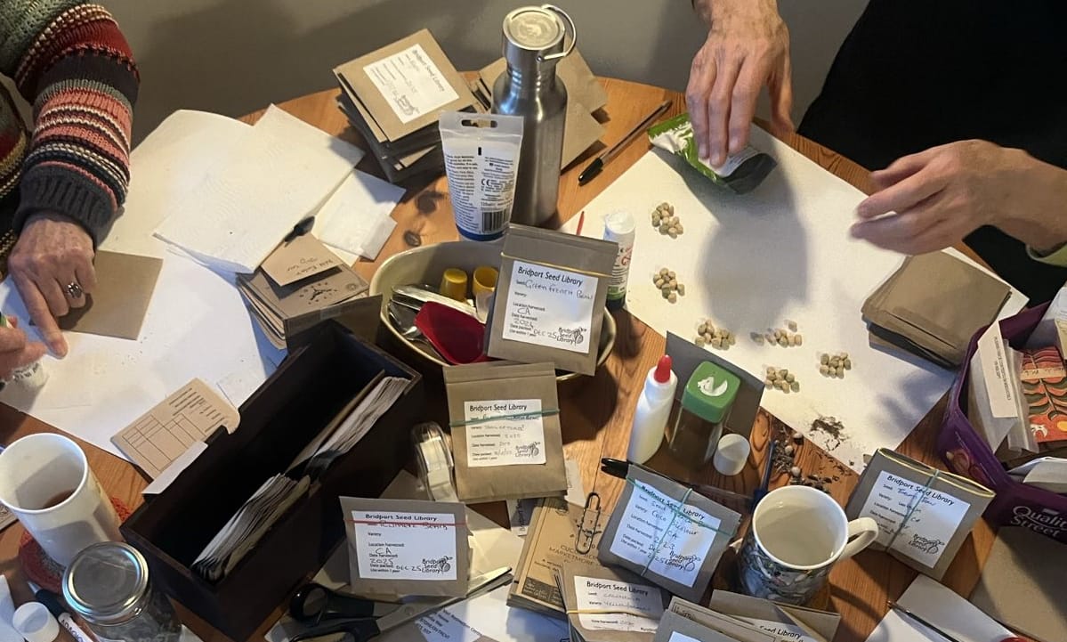 Bridport Seed Library Progress Report