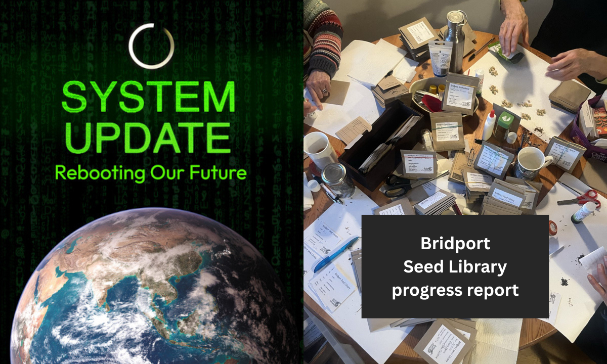 MMMM! Monday 19 Jan: System Update + Bridport Seed Library Progress