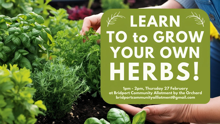 Learn to grow your own....herbs!