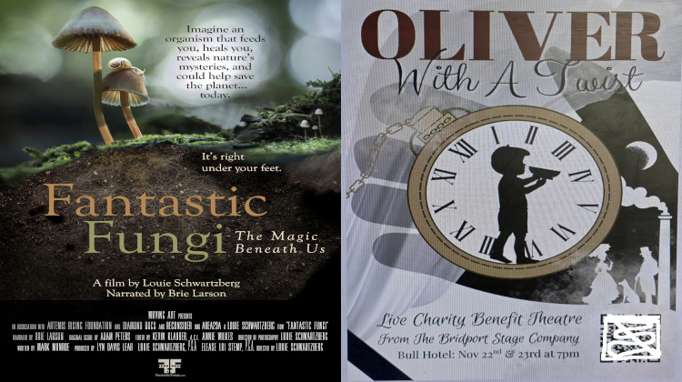 This Monday: Fantastic Fungi at MMMM! 🍄