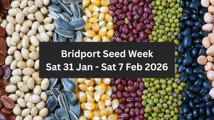 Rows of colourful seeds and pulses forming a patterned background, with text reading “Bridport Seed Week, Sat 31 Jan – Sat 7 Feb 2026”