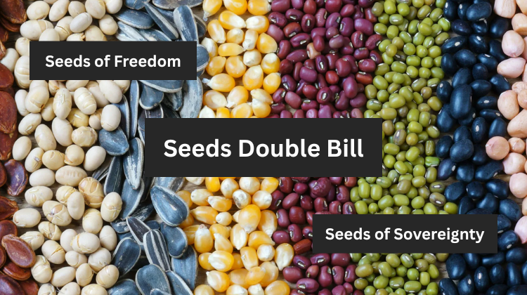 Close-up of assorted seeds and beans in rows, with bold text overlays: “Seeds Double Bill”, “Seeds of Freedom” and “Seeds of Sovereignty”
